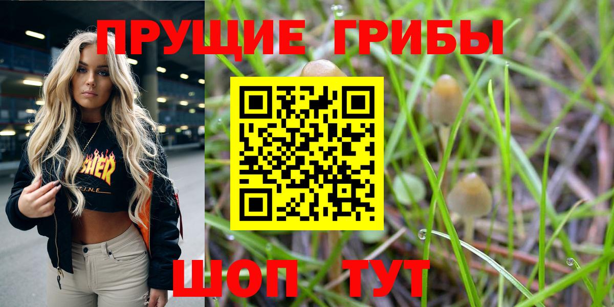 Псилоцибиновые грибы прущие грибы Лангепас